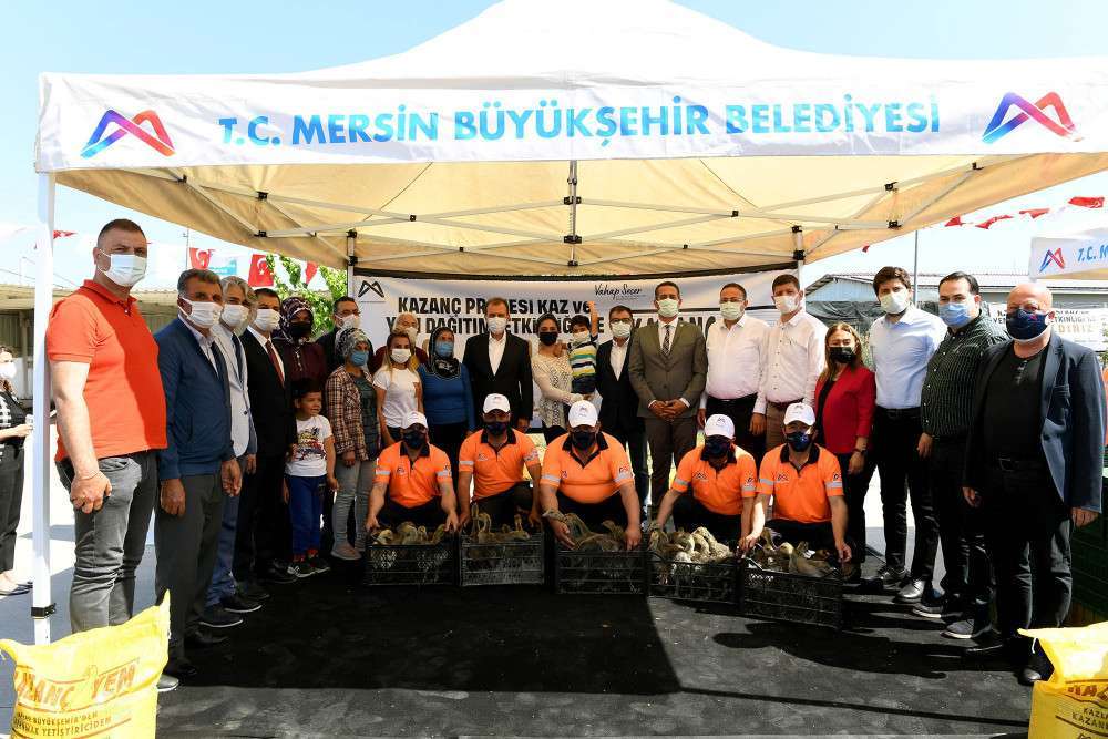 ÜRETİCİLERİN BAHÇELERİNDEN KAZ SESLERİ YÜKSELİYOR