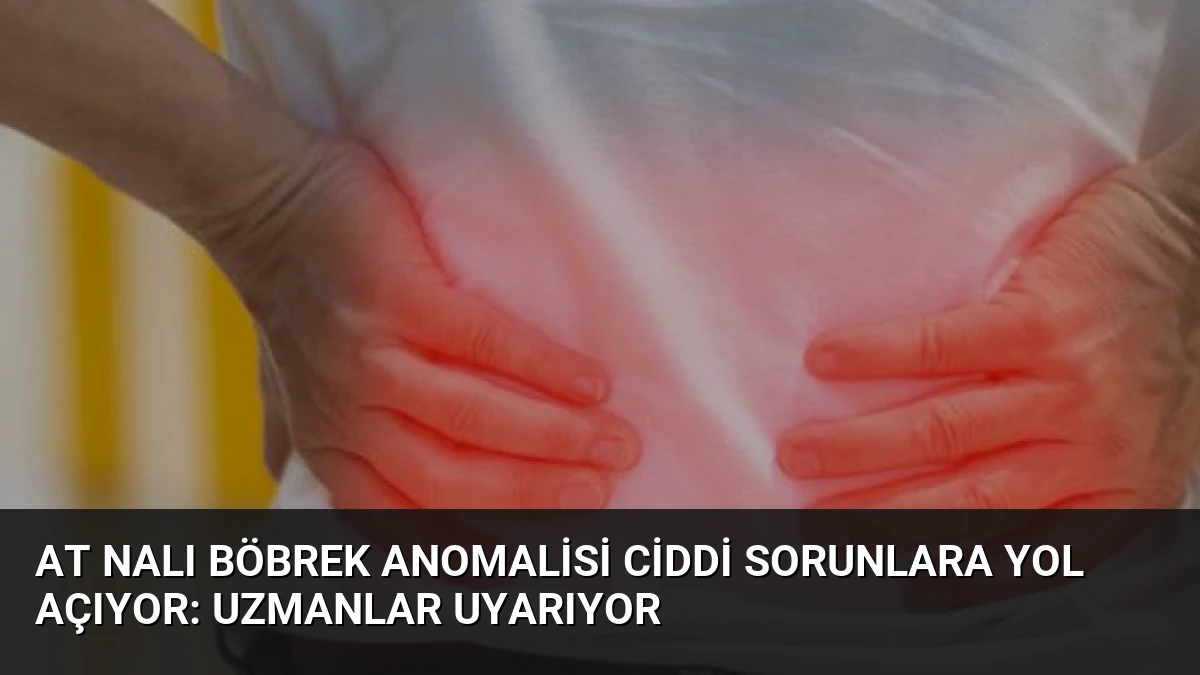 At Nalı Böbrek Anomalisi Ciddi Sorunlara Yol Açıyor: Uzmanlar Uyarıyor