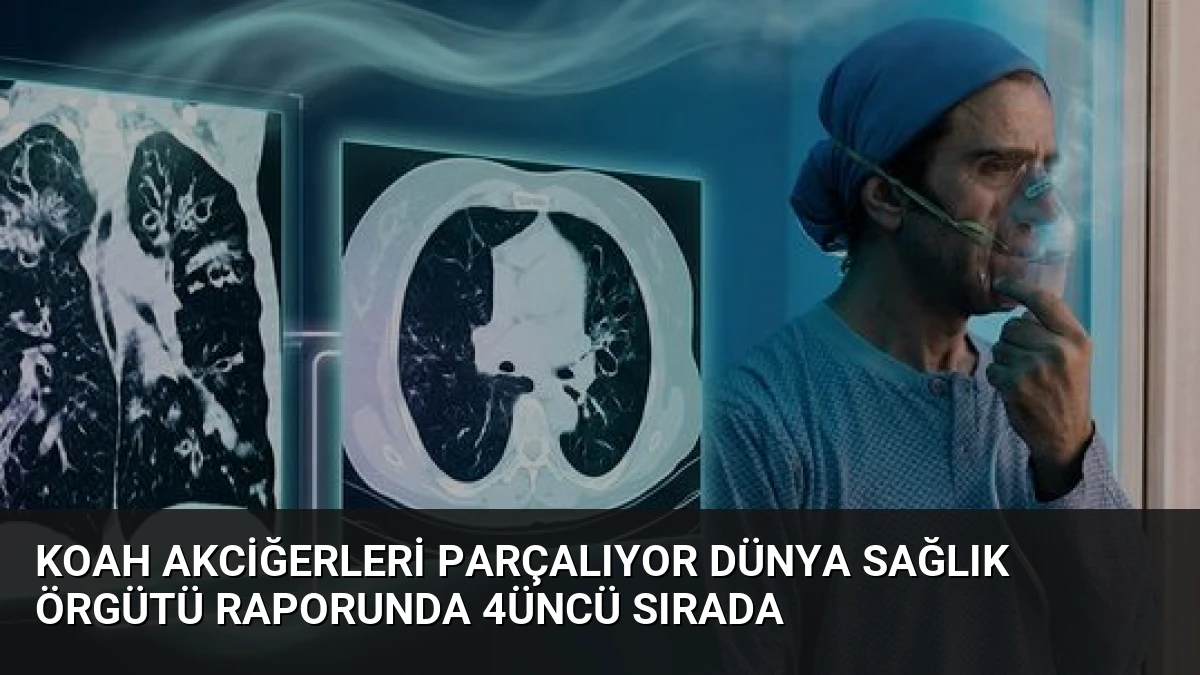 KOAH Akciğerleri Parçalıyor Dünya Sağlık Örgütü Raporunda 4üncü Sırada