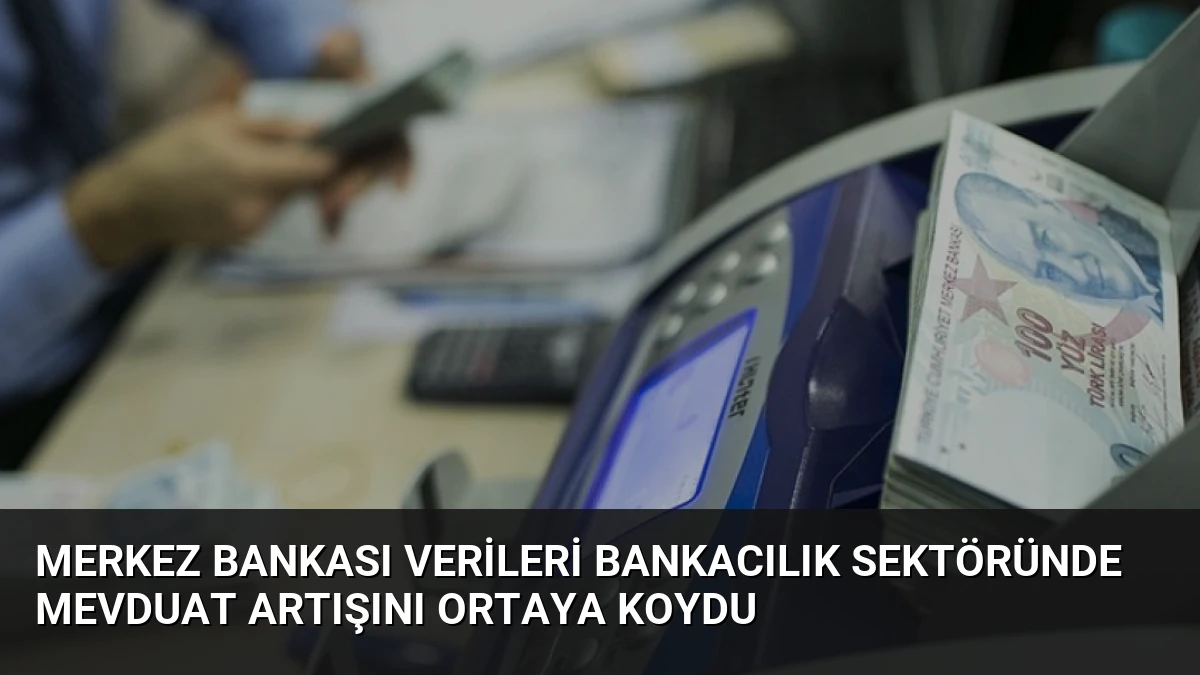 Merkez Bankası Verileri Bankacılık Sektöründe Mevduat Artışını Ortaya Koydu
