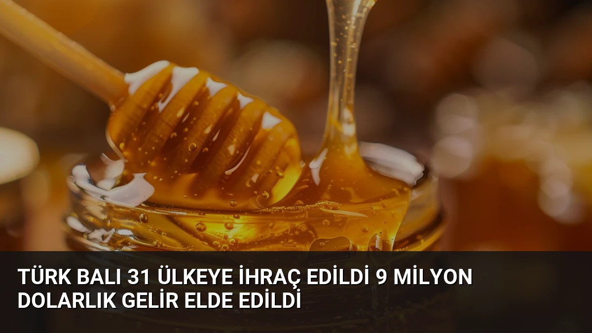 Türk Balı 31 Ülkeye İhraç Edildi 9 Milyon Dolarlık Gelir Elde Edildi
