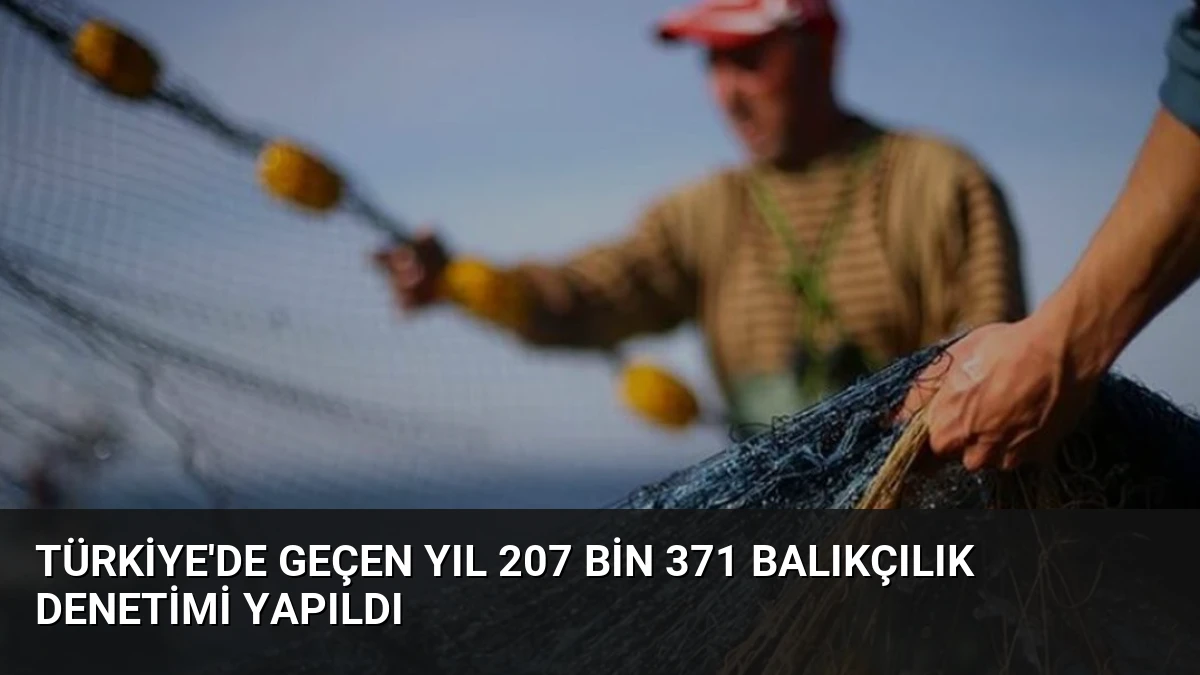 Türkiye’de geçen yıl 207 bin 371 balıkçılık denetimi yapıldı
