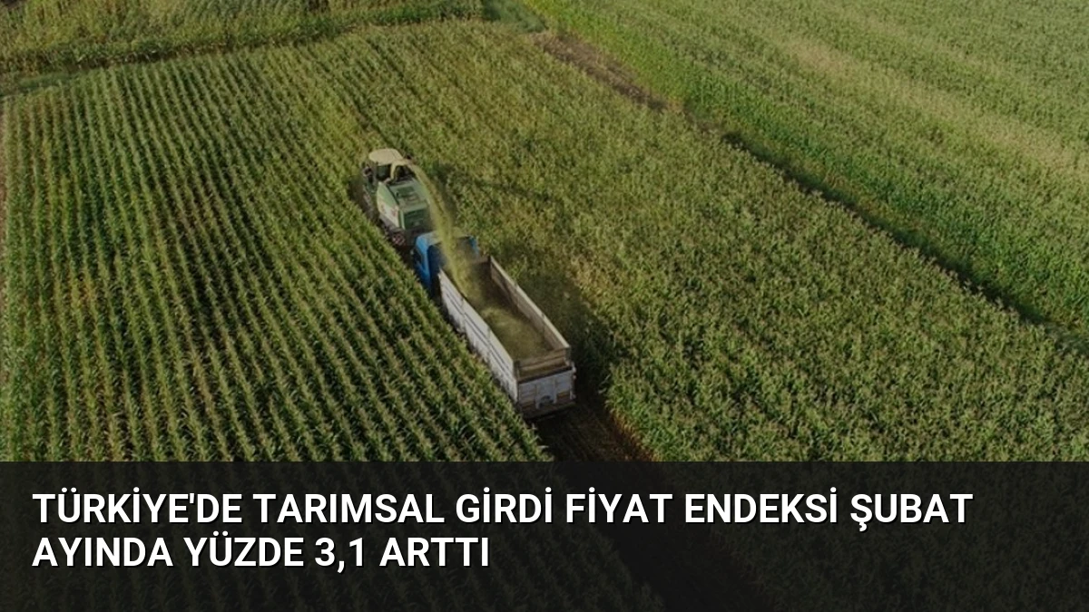 Türkiye’de Tarımsal Girdi Fiyat Endeksi Şubat Ayında Yüzde 3,1 Arttı