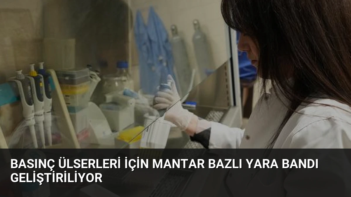 Basınç Ülserleri İçin Mantar Bazlı Yara Bandı Geliştiriliyor