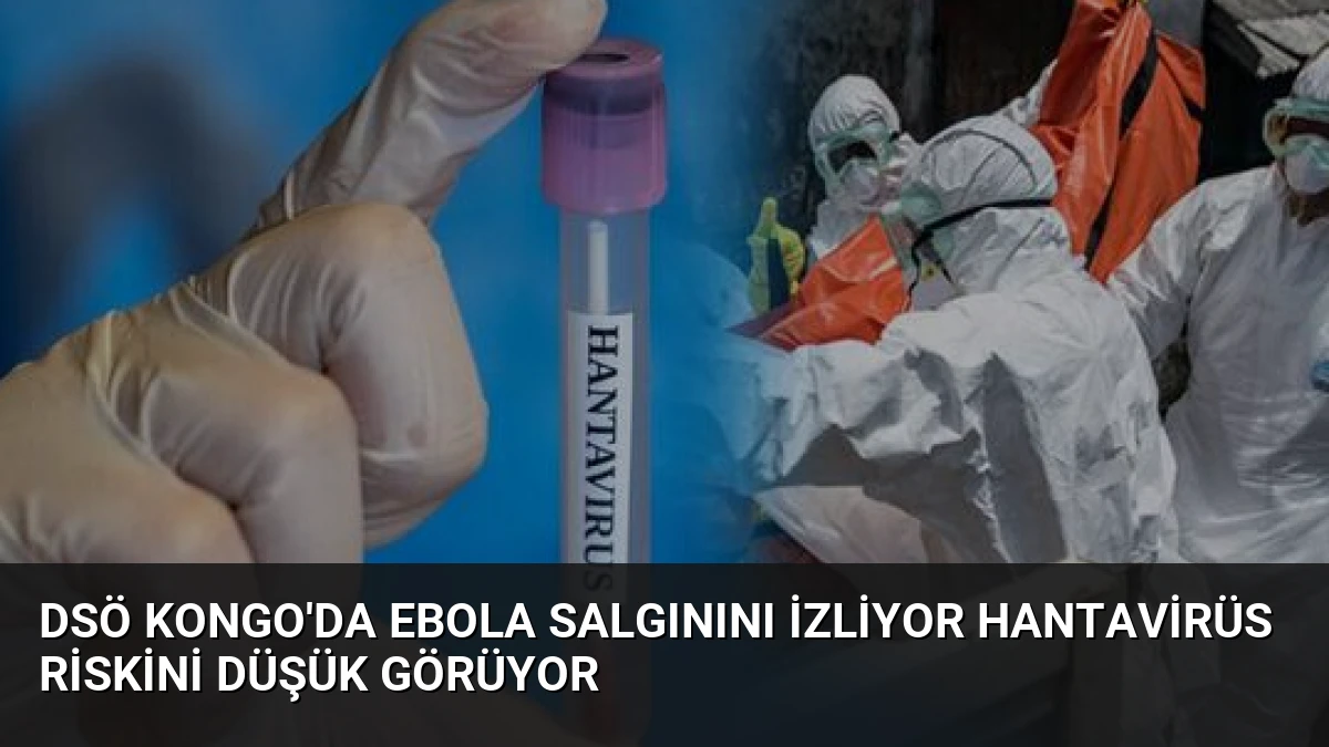 DSÖ Kongo’da Ebola Salgınını İzliyor Hantavirüs Riskini Düşük Görüyor