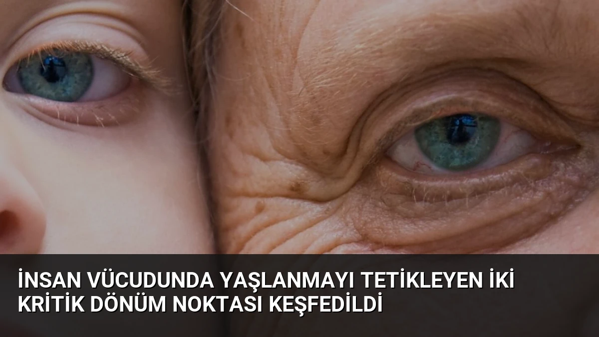 İnsan Vücudunda Yaşlanmayı Tetikleyen İki Kritik Dönüm Noktası Keşfedildi