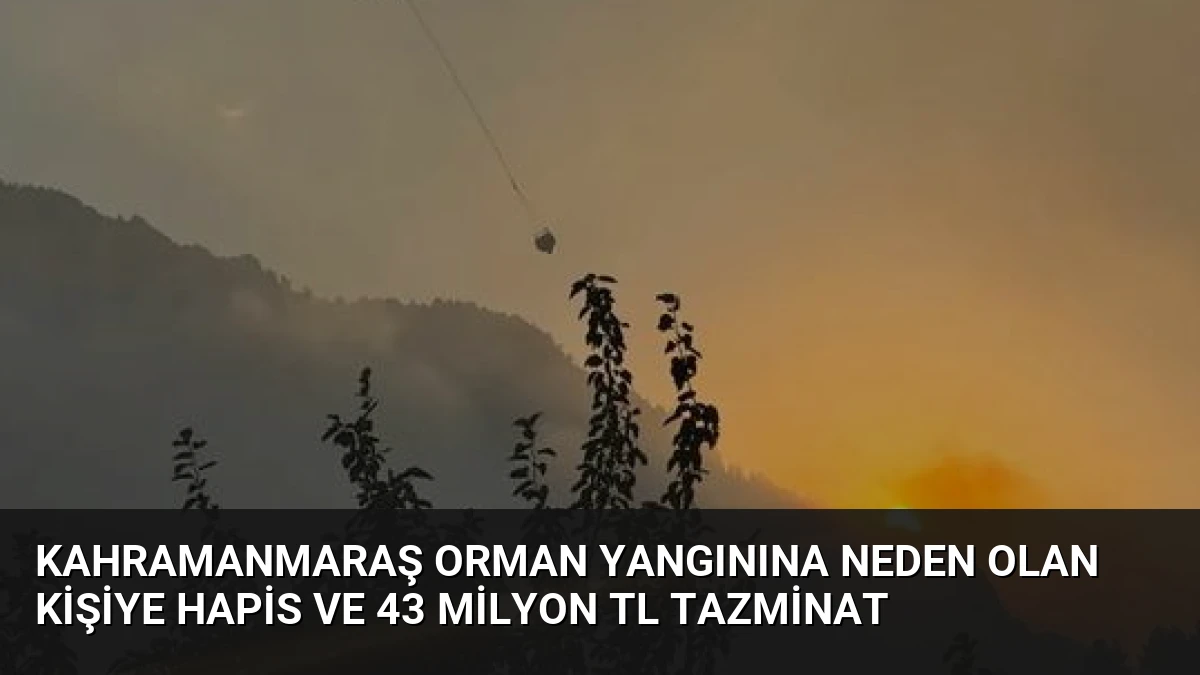 Kahramanmaraş Orman Yangınına Neden Olan Kişiye Hapis ve 43 Milyon TL Tazminat