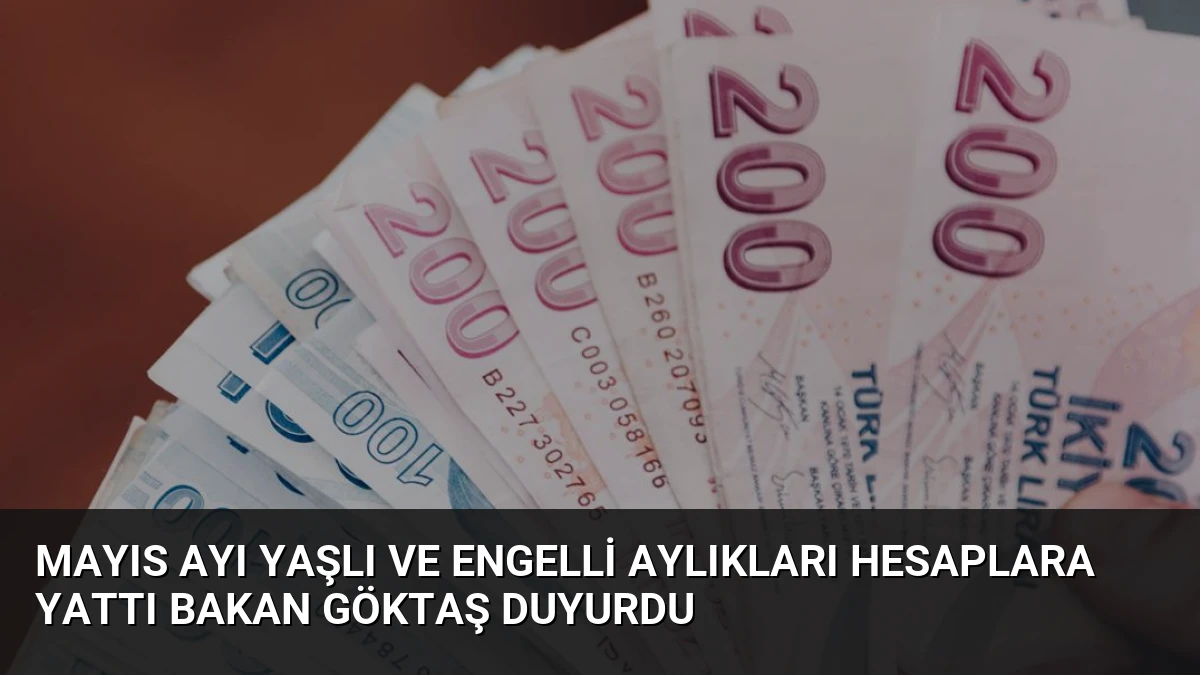 Mayıs Ayı Yaşlı ve Engelli Aylıkları Hesaplara Yattı Bakan Göktaş Duyurdu