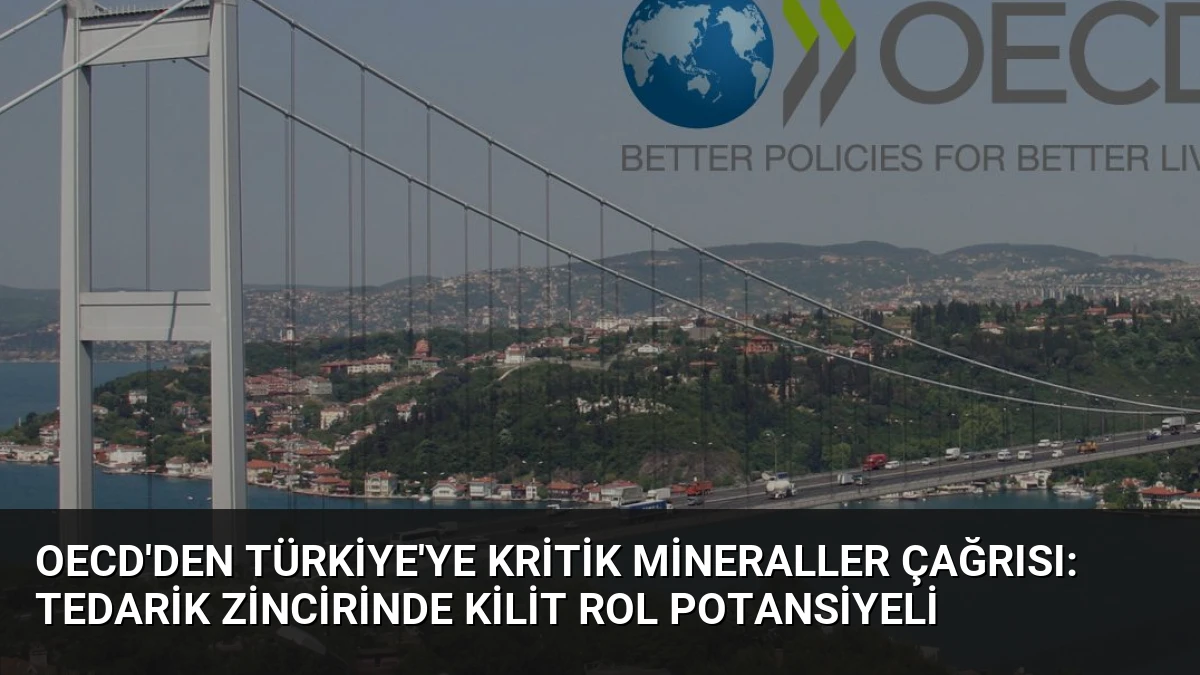 OECD’den Türkiye’ye Kritik Mineraller Çağrısı: Tedarik Zincirinde Kilit Rol Potansiyeli
