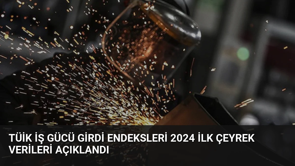 TÜİK İş Gücü Girdi Endeksleri 2024 İlk Çeyrek Verileri Açıklandı