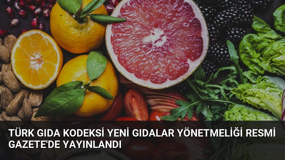 Türk Gıda Kodeksi Yeni Gıdalar Yönetmeliği Resmi Gazete’de Yayınlandı
