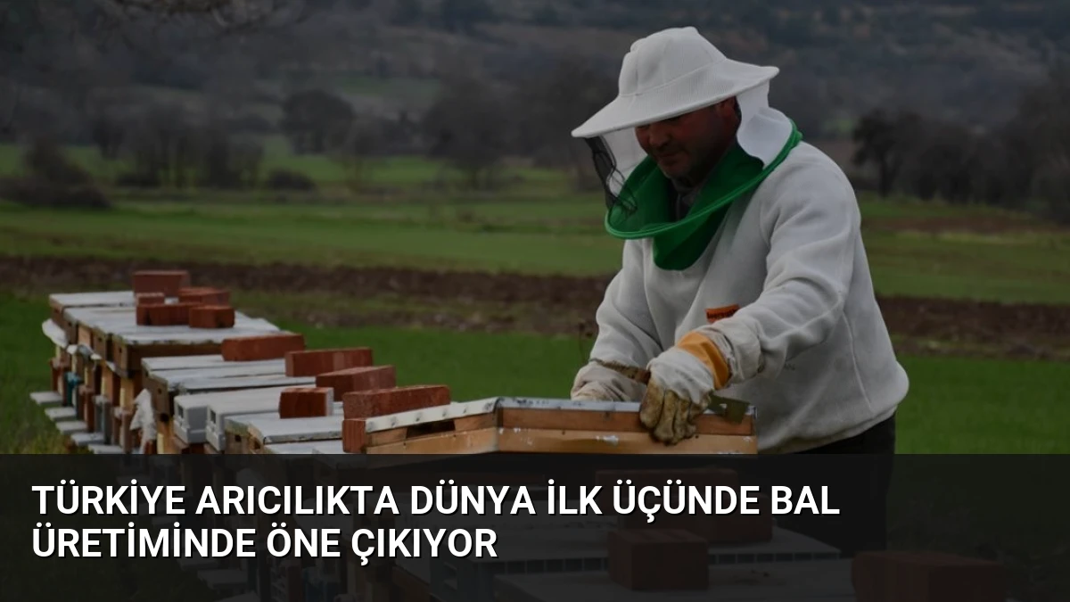Türkiye Arıcılıkta Dünya İlk Üçünde Bal Üretiminde Öne Çıkıyor