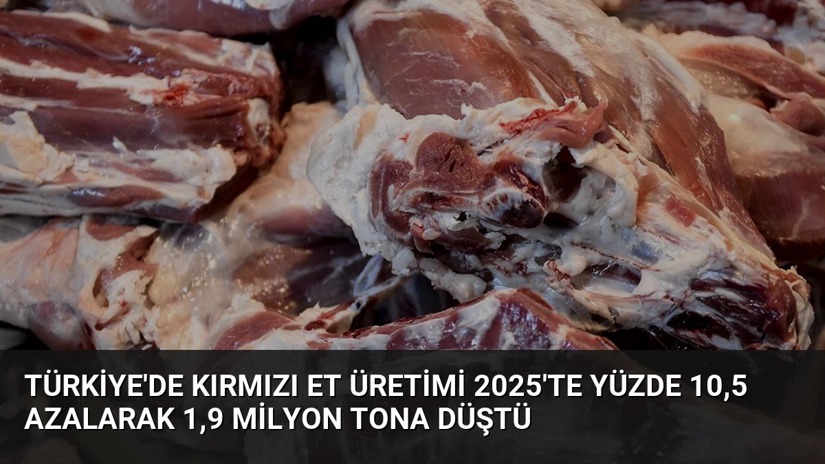 Türkiye’de Kırmızı Et Üretimi 2025’te Yüzde 10,5 Azalarak 1,9 Milyon Tona Düştü