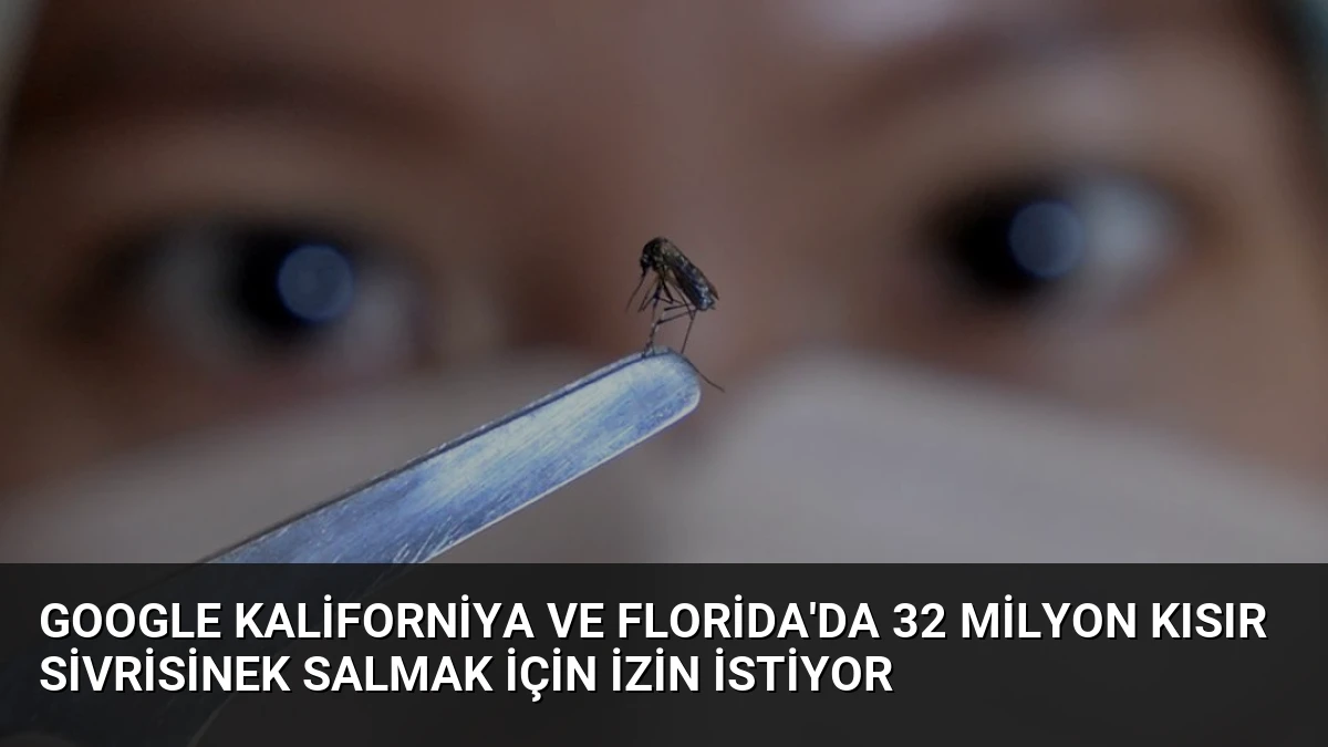 Google Kaliforniya ve Florida’da 32 Milyon Kısır Sivrisinek Salmak İçin İzin İstiyor