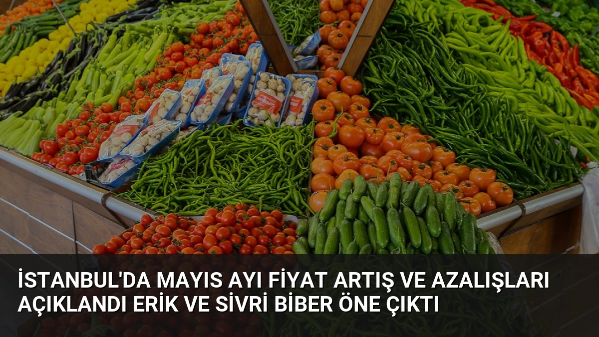 İstanbul’da Mayıs Ayı Fiyat Artış ve Azalışları Açıklandı Erik ve Sivri Biber Öne Çıktı