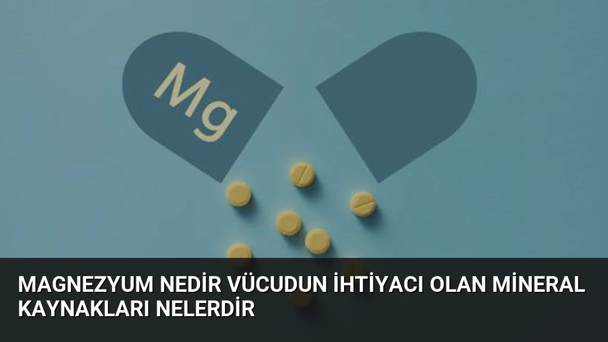 Magnezyum Nedir Vücudun İhtiyacı Olan Mineral Kaynakları Nelerdir