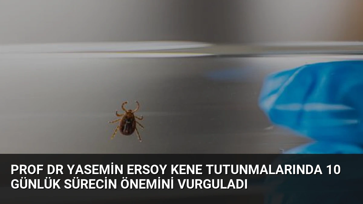 Prof Dr Yasemin Ersoy Kene Tutunmalarında 10 Günlük Sürecin Önemini Vurguladı