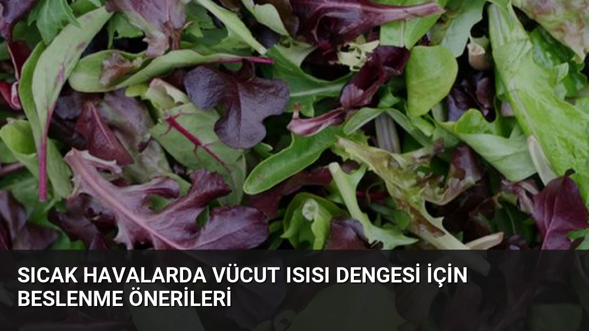 Sıcak Havalarda Vücut Isısı Dengesi İçin Beslenme Önerileri