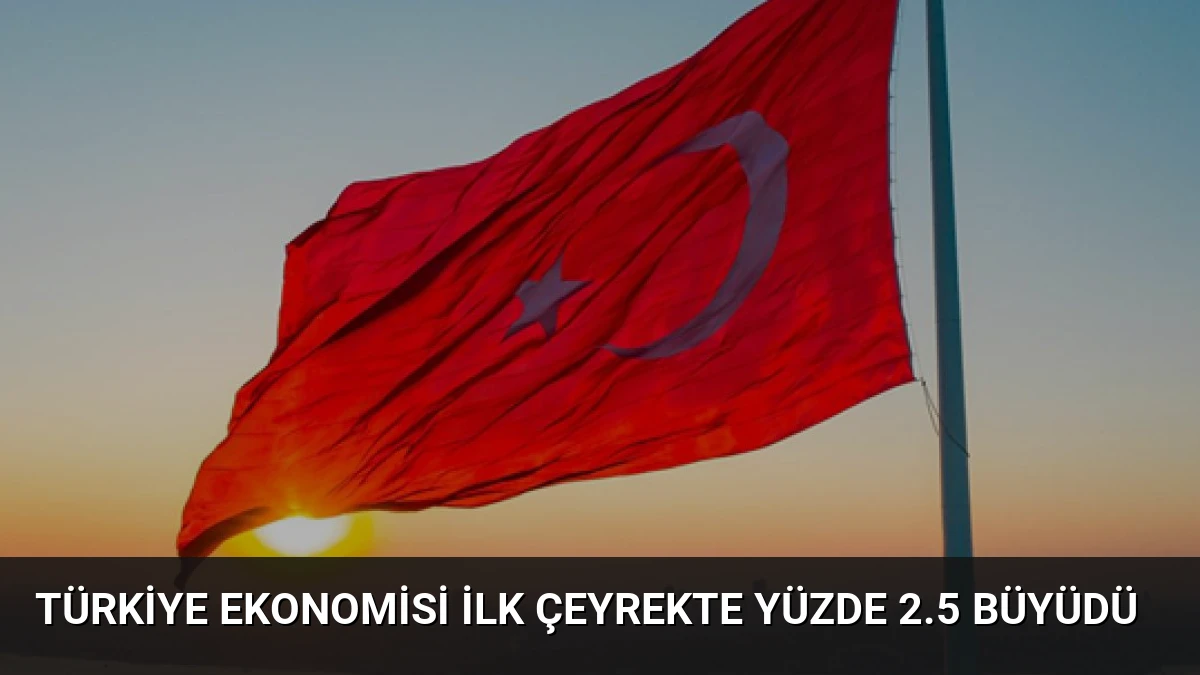 Türkiye Ekonomisi İlk Çeyrekte Yüzde 2.5 Büyüdü
