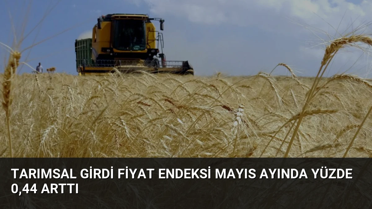 Tarımsal Girdi Fiyat Endeksi Mayıs Ayında Yüzde 0,44 Arttı