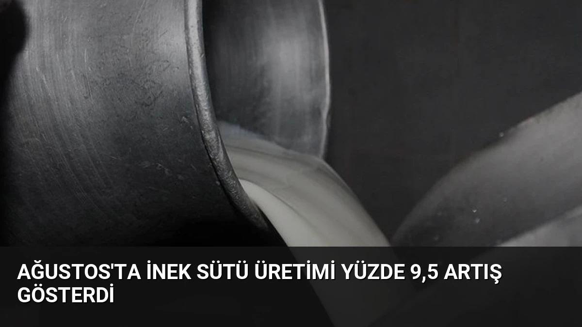 Ağustos’ta İnek Sütü Üretimi Yüzde 9,5 Artış Gösterdi