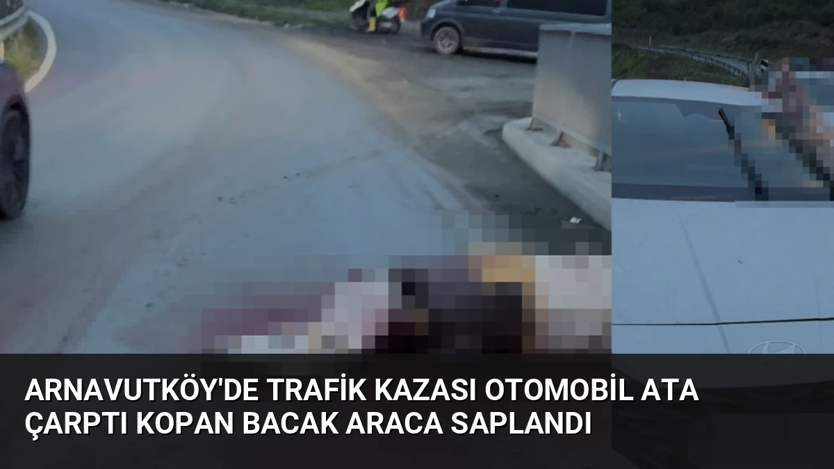 Arnavutköy’de Trafik Kazası Otomobil Ata Çarptı Kopan Bacak Araca Saplandı