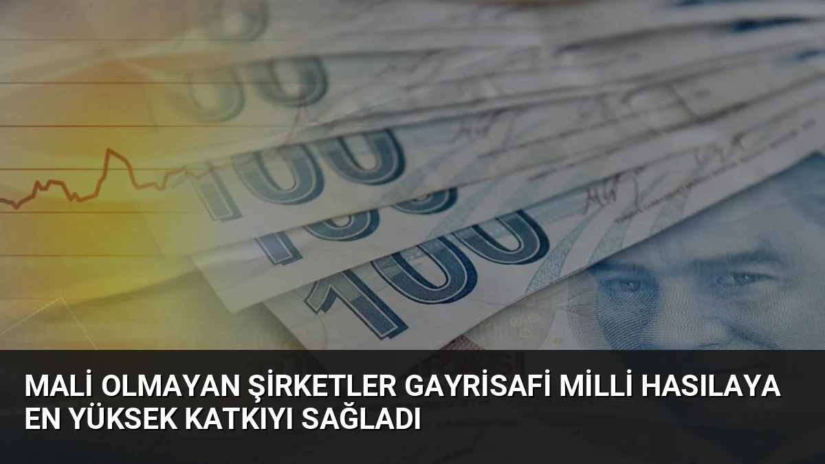 Mali Olmayan Şirketler Gayrisafi Milli Hasılaya En Yüksek Katkıyı Sağladı