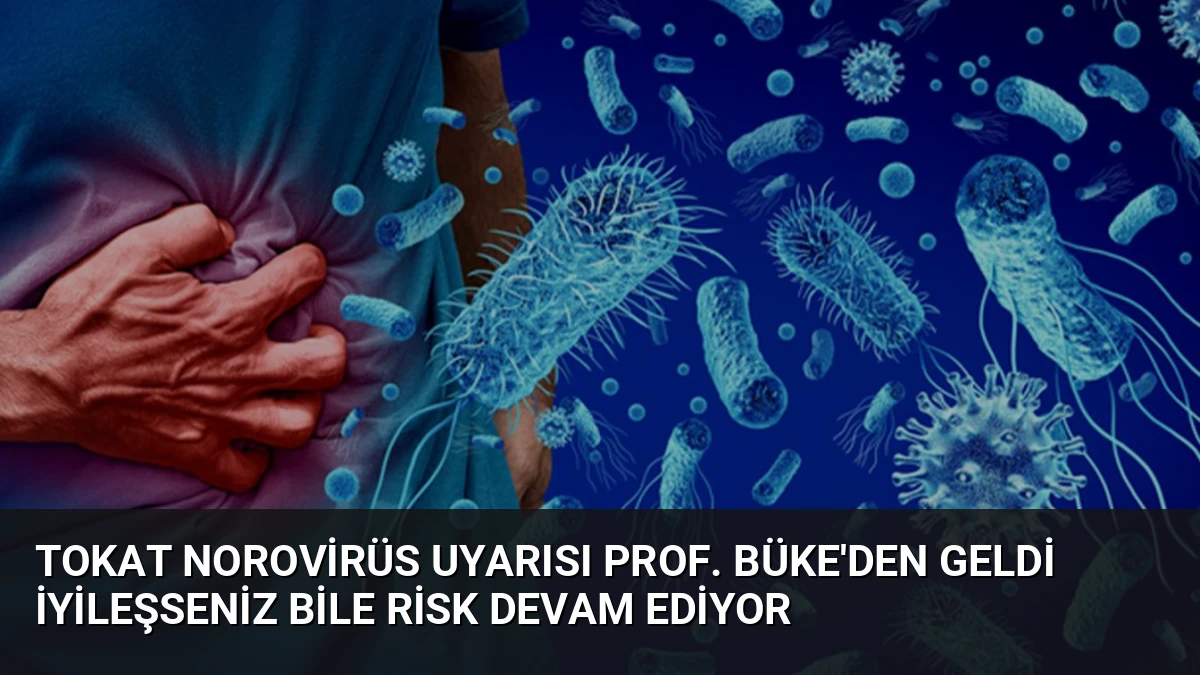 Tokat Norovirüs Uyarısı Prof. Büke’den Geldi İyileşseniz Bile Risk Devam Ediyor